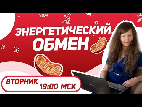 Энергетический обмен Энергетический обмен
