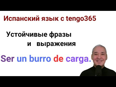 Испанский язык. Устойчивые выражения: Ser un burro de carga.