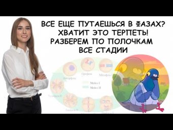 &laquo;МЕЙОЗ&raquo; | ЕГЭ БИОЛОГИЯ 2019 | Онлайн-школа СОТКА
