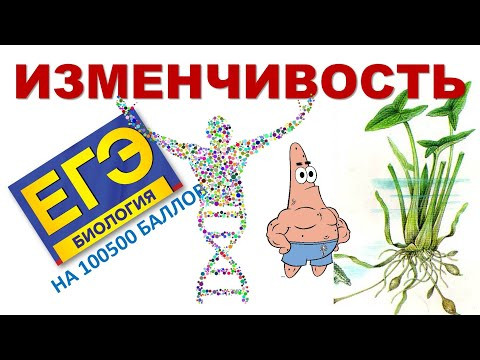 ИЗМЕНЧИВОСТЬ | ТЕОРИЯ ДЛЯ ЕГЭ