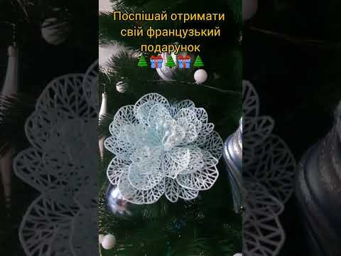 Різдвяні знижки на курси французької Різдвяні знижки на курси французької