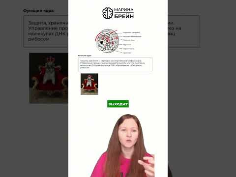 ДНК — ПАСПОРТ КЛЕТКИ тгк: Марина Брейн #егэ2027 #егэбиология ДНК — ПАСПОРТ КЛЕТКИ тгк: Марина Брейн #егэ2027 #егэбиология