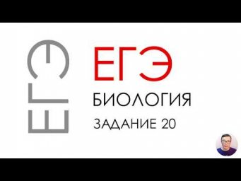 ЕГЭ биология 2020 Задание 20 Рохлов разбор