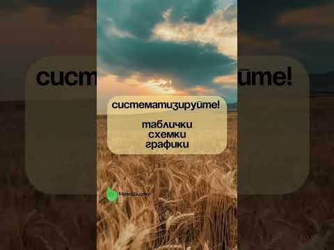 Подробнее в нашем тг #биология #егэ2026 #майшкола #память