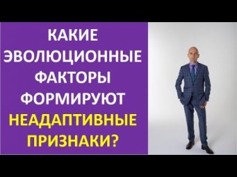 1. Какие эволюционные факторы  формируют неадаптивные признаки?
