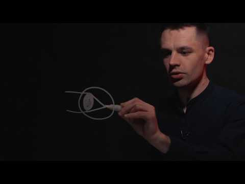 Близорукость и Дальнозоркость | ЕГЭ Биология | Даниил Дарвин