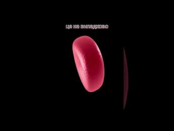 Гемоглобін найважливіший транспортний білок крові #нмт #anatomy #blood #redbloodcells #гемоглобін