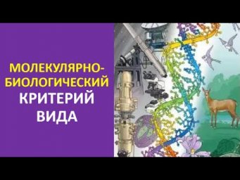 6. Молекулярно-биологический критерий вида