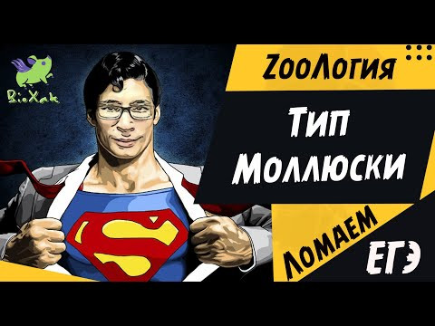 Тип Моллюски/ скрипт / домашка /BioXak Тип Моллюски/ скрипт / домашка /BioXak