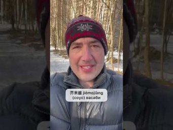 Разбираемся с соусами