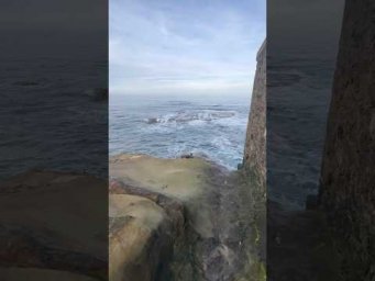 Lo inexplicable en la naturaleza 