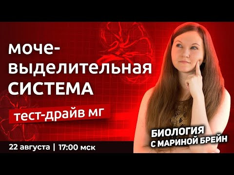 Мочевыделительная система ЕГЭ | Пробная неделя мастер-группы с Мариной Брейн Мочевыделительная система ЕГЭ | Пробная неделя мастер-группы с Мариной Брейн