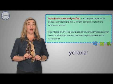 Разбор глагола как части речи