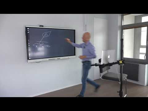 Митозы и мейозы папоротникообразных в ЕГЭ по биологии