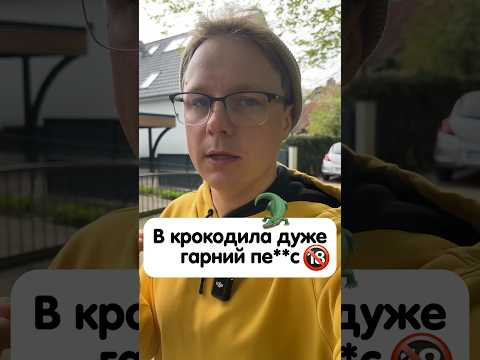 Як перекладається &laquo;der Schwanz&rdquo; німецькою? #німецька #німецькамова #вчительукраїнської