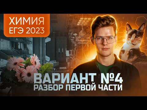 Вариант №4 ЕГЭ по ХИМИИ, Степенин и Дацук | Анна, Влад и Варя с химфака МГУ