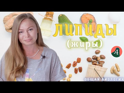 ЛИПИДЫ | ПОДГОТОВКА К ЕГЭ ЛИПИДЫ | ПОДГОТОВКА К ЕГЭ