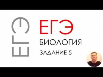 ЕГЭ биология 2020 Задание 5 Рохлов