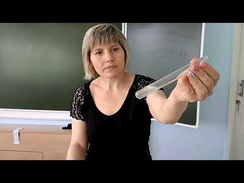Объясни опыты. Опыт 1. Объясни опыты. Опыт 1.