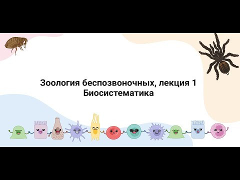 Систематика зоологии беспозвоночных