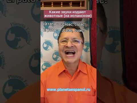 ЗВУКИ ЖИВОТНЫХ ПО-ИСПАНСКИЙ#шортс ЗВУКИ ЖИВОТНЫХ ПО-ИСПАНСКИЙ#шортс