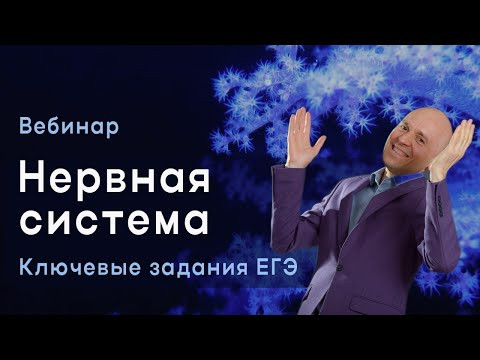 Вебинар о нервной системе человека