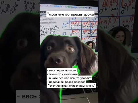 Знакомо? 