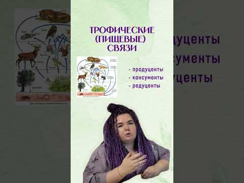 Типы связей в экосистеме (форические, фабрические и др.)