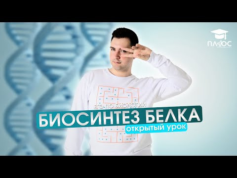 Биосинтез белка | Полный урок | Плюс