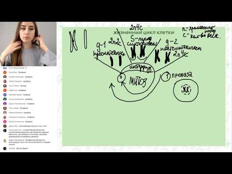 «Митоз от А до Я» | ЕГЭ БИОЛОГИЯ 2019 | Онлайн-школа СОТКА «Митоз от А до Я» | ЕГЭ БИОЛОГИЯ 2019 | Онлайн-школа СОТКА