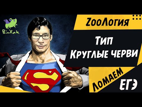 Тип Круглые черви/ скрипт / домашка /BioXak