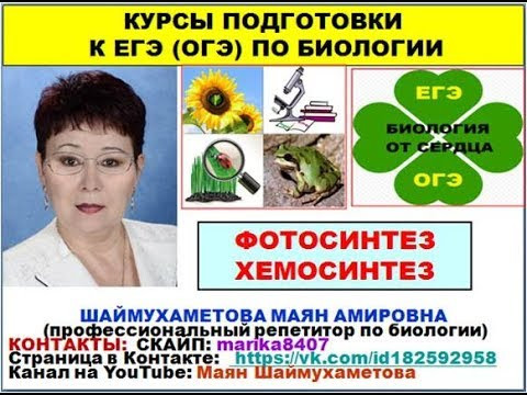 ФОТОСИНТЕЗ. ХЕМОСИНТЕЗ. ЕГЭ ПО БИОЛОГИИ. ФОТОСИНТЕЗ. ХЕМОСИНТЕЗ. ЕГЭ ПО БИОЛОГИИ.