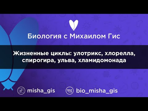 Циклы: улотрикс, хлорелла, спирогира, ульва, хламидомонада | ЕГЭ ОГЭ Биология с Михаилом Гис