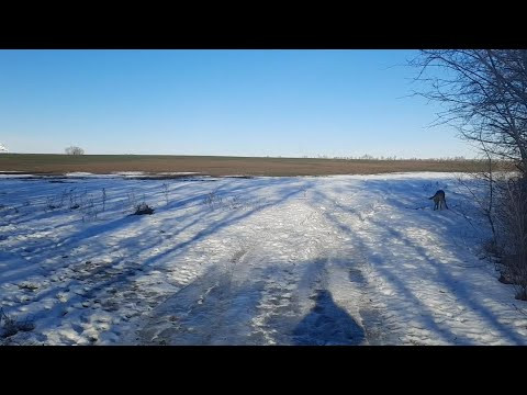 французская грамматика. Особенности глагола acheter.