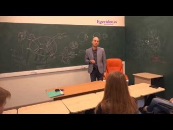 Ганглии и нервные окончания