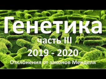 12. Генетика часть III (9 или 10-11 класс) - биология, подготовка к ЕГЭ и ОГЭ 2020