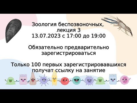Продолжение систематики беспозвоночных. Лекция 3