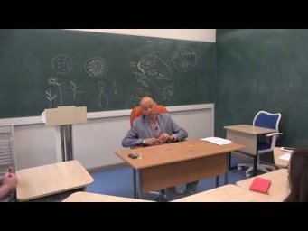 35. Подклассы костных рыб очень важны для ЕГЭ