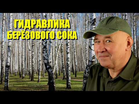 Гидравлика берёзового сока