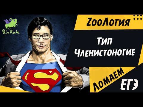 Тип Членистоногие/ скрипт / домашка /BioXak Тип Членистоногие/ скрипт / домашка /BioXak