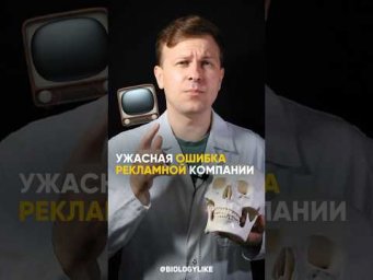 Сколько же на самом деле корней у зубов?