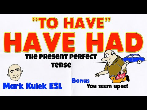 Have Had: the present perfect tense  | English speaking practice - Mark Kulek ESL