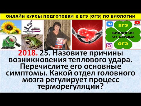 ЗАДАНИЕ ЛИНИИ 25 ПРО ТЕПЛОВОЙ УДАР