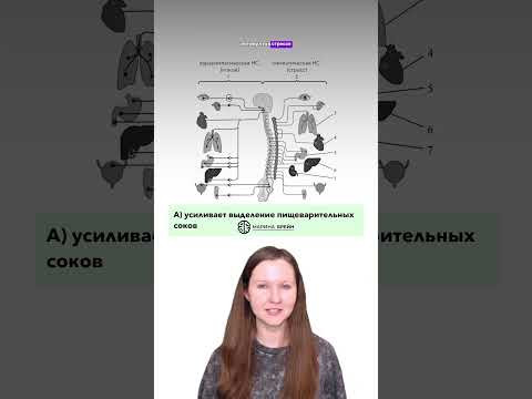 Задание с реального ЕГЭ по биологии, на котором многие по теряли баллы! #биология #биологияегэ #егэ Задание с реального ЕГЭ по биологии, на котором многие по теряли баллы! #биология #биологияегэ #егэ