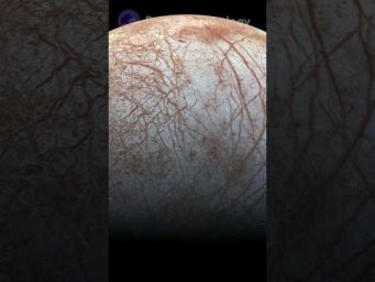 На супутнику Європа є життя? 