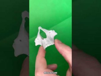 Ты занял об этом?