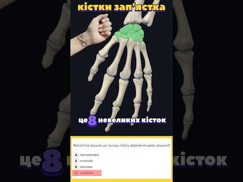 Підготовка до НМТ з біології 2026.  #biology #нмт #нмтбіологія #скелет