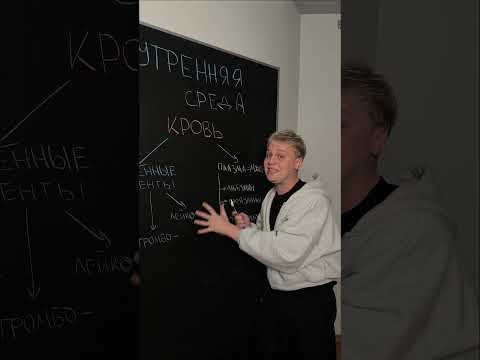 Внутренняя среда организма | Биология с Яном Внутренняя среда организма | Биология с Яном