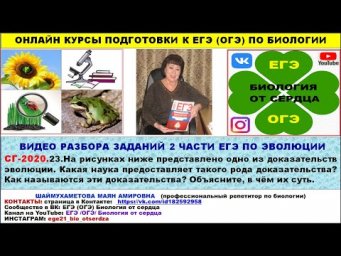 ЗАДАНИЕ ИЗ СТАТГРАДА ПРО ГОМОЛОГИЮ