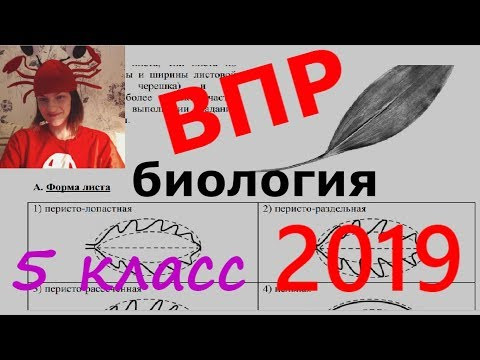 Всероссийская проверочная работа по биологии 5 класс 2019
